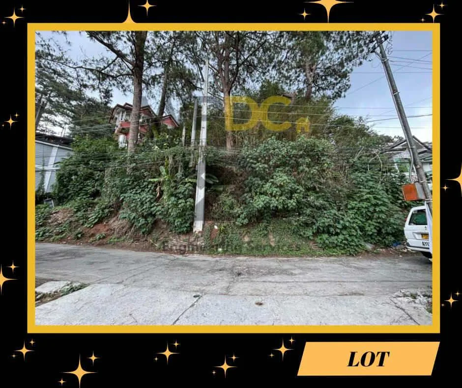 Pacdal Project - photo 4